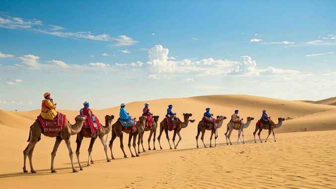 Глава Минлесхоза позвал в Беларусь охотников из ОАЭ