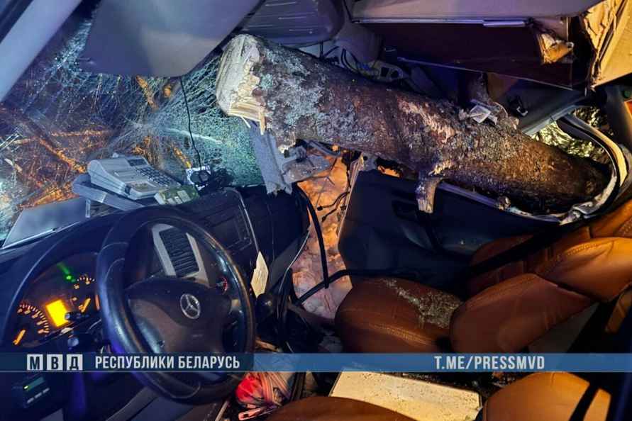 Под Вилейкой маршрутка влетела в поваленное дерево – двое в больнице