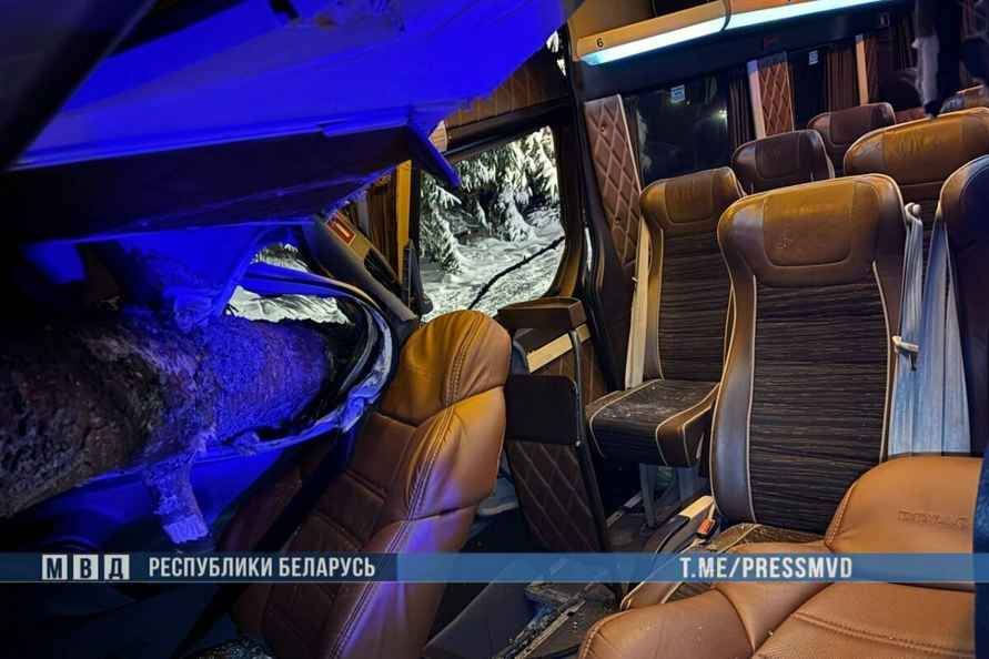 Под Вилейкой маршрутка влетела в поваленное дерево – двое в больнице