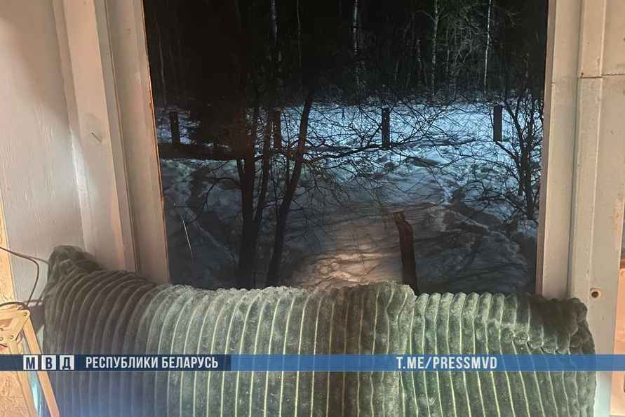 Три иностранца с оружием ворвались в дом под Смолевичами