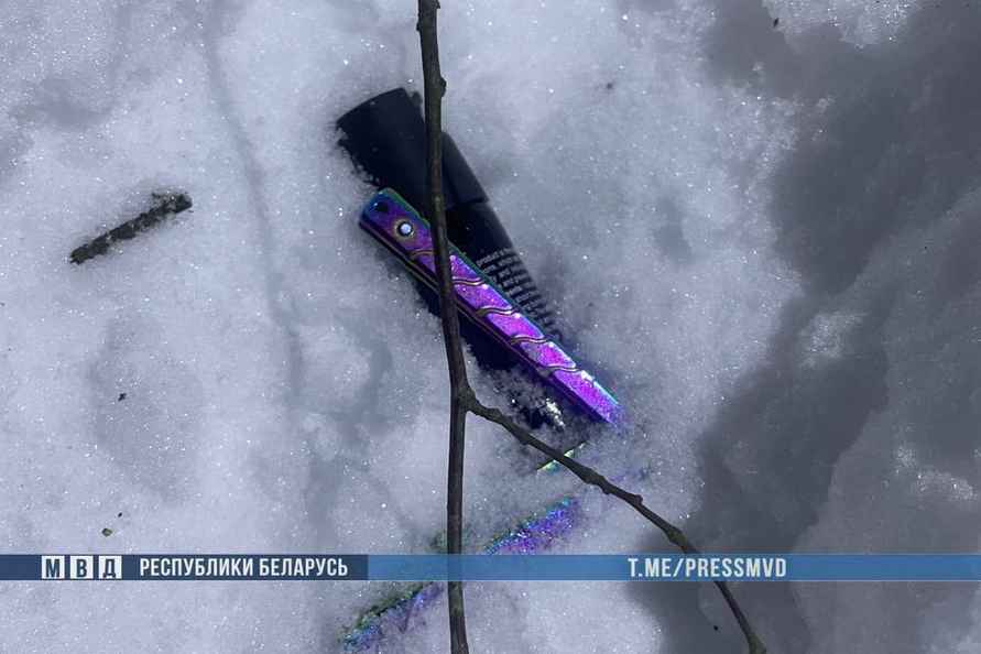 Три иностранца с оружием ворвались в дом под Смолевичами