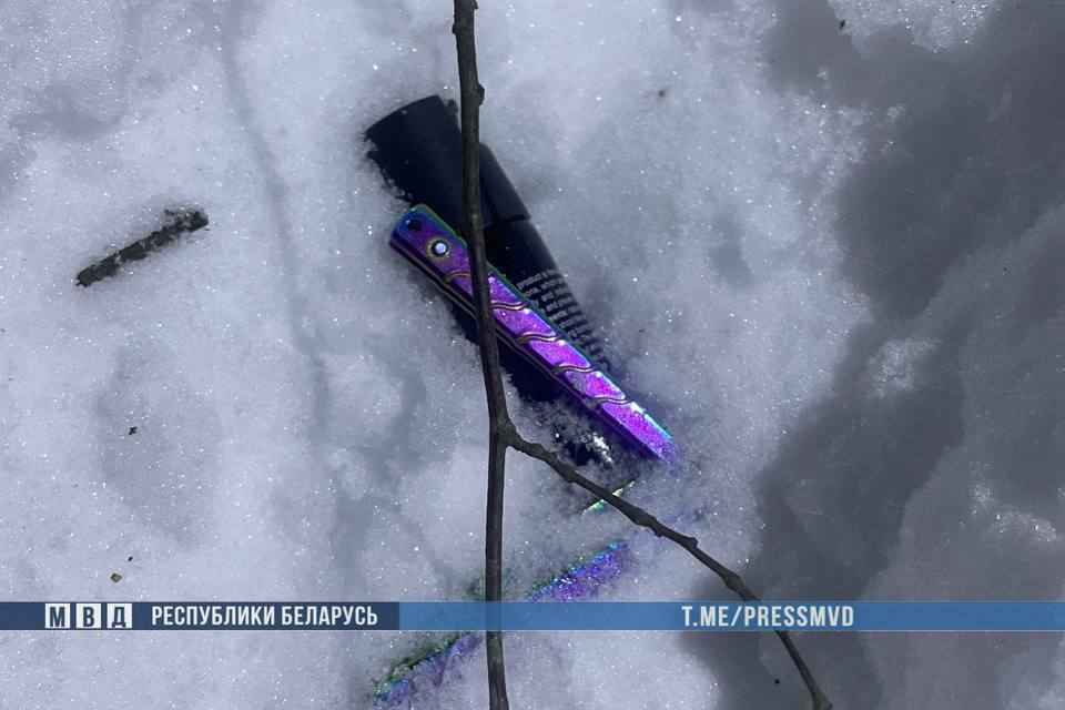 Три иностранца с оружием ворвались в дом под Смолевичами