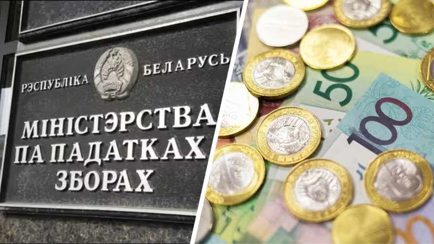 МНС призвало часть белорусов срочно зайти в ЕРИП «во избежание финансовых санкций»