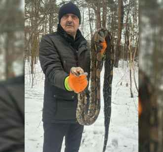 В Польше в зимнем лесу нашли 2-метрового питона