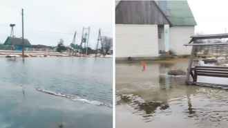 В Сети появились первые видео затоплений на Полесье — «И это только начало»