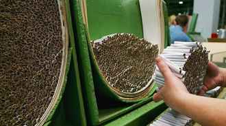 До +50 копеек. Белорусские производители массово подняли цены на сигареты