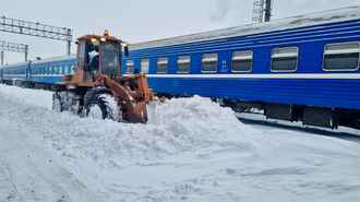 На Могилевщине поезд столкнулся с диким животным