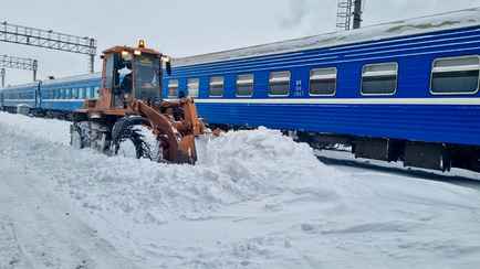 На Могилевщине поезд столкнулся с диким животным