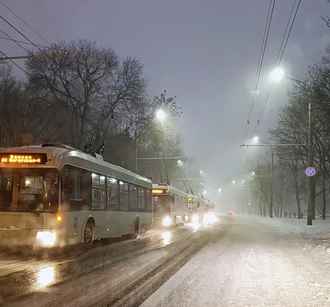 В мэрии Минска предупредили жителей о последствиях «соляного тумана»