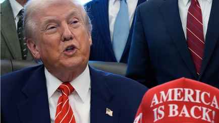 Трамп не нашёл нарушений «энергетического перемирия» со стороны РФ — «Путин сдержал своё слово»