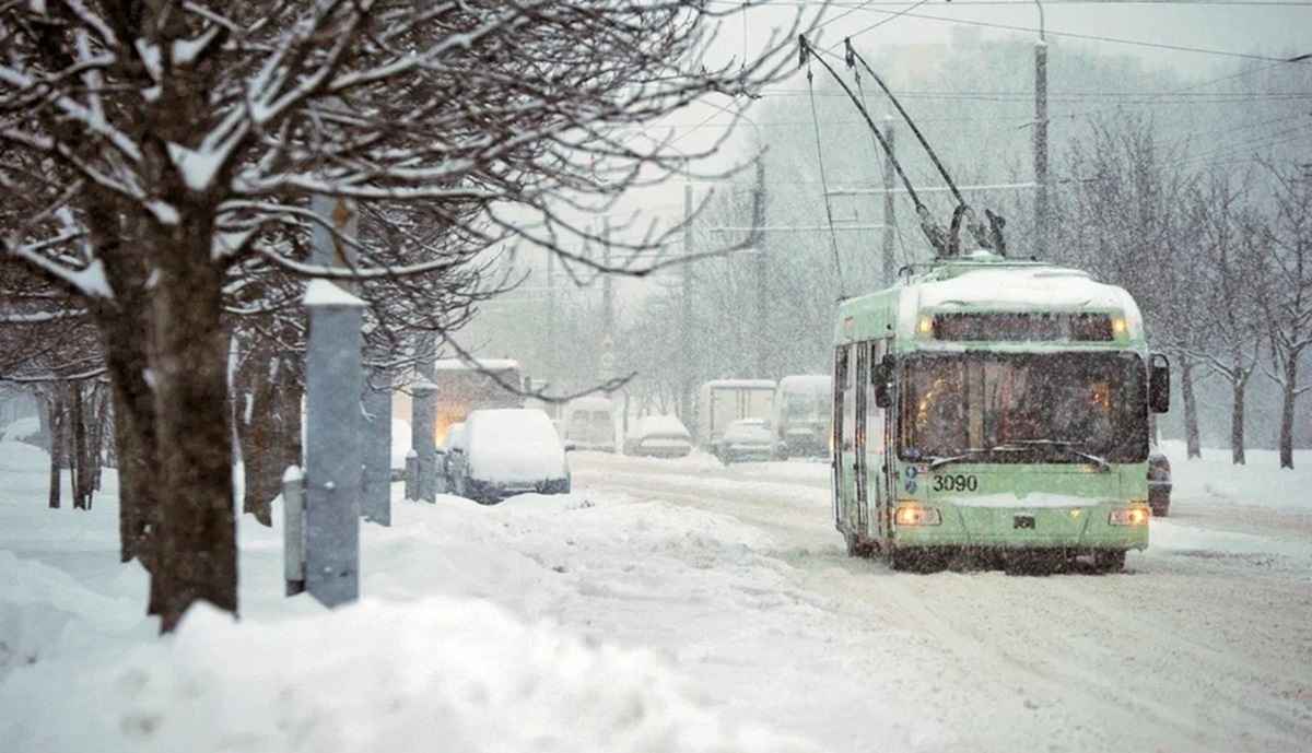 Фото иллюстрационное: kp.by