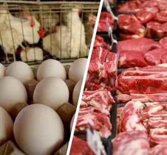 Россельхознадзор пожаловался на антибиотик в белорусских яйцах и говядине