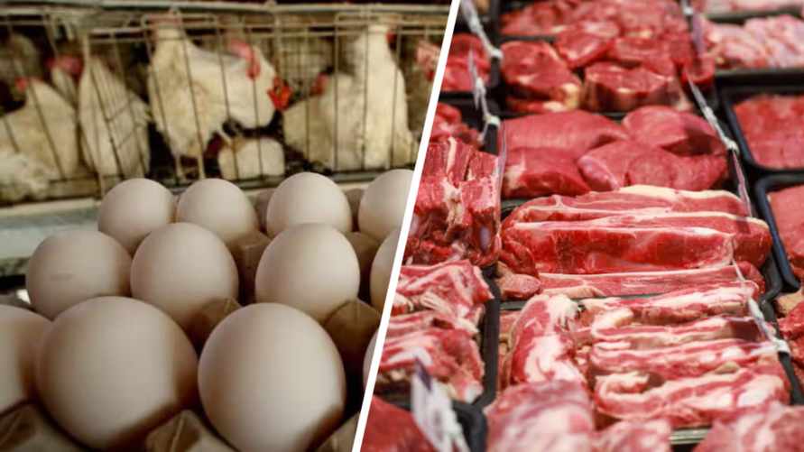 Россельхознадзор пожаловался на антибиотик в белорусских яйцах и говядине