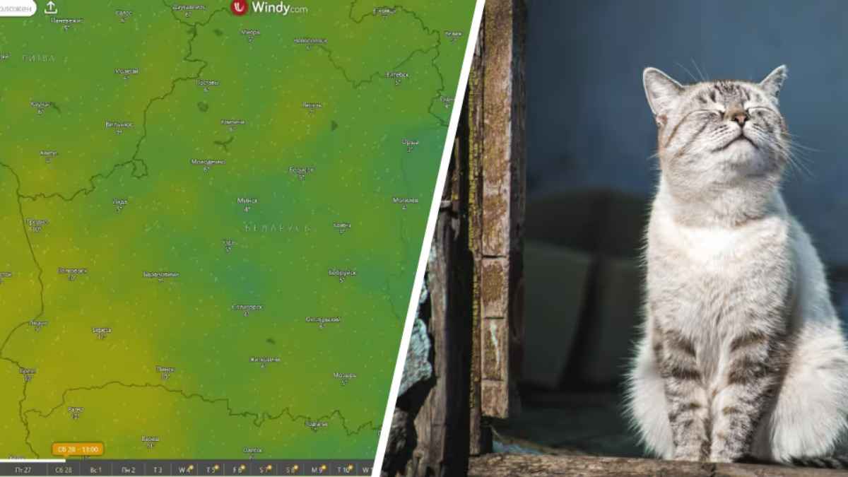 До +14°С. Синоптики пообещали белорусам весну в последние дни зимы