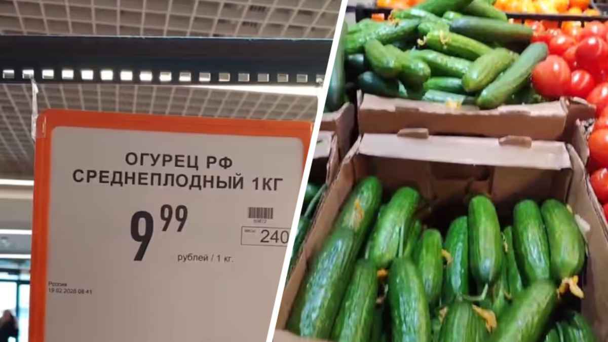 Профсоюзы пожаловались на «российские» огурцы за 9,99 BYN в Минске и назвали "правильную" цену