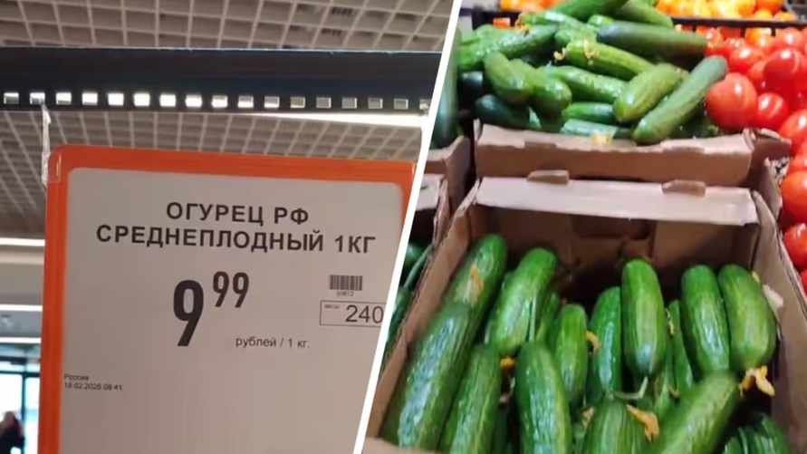 Профсоюзы пожаловались на «российские» огурцы за 9,99 BYN в Минске и назвали "правильную" цену