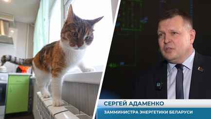 В Минэнерго попросили белорусов «отнестись с пониманием» к похолоданию в домах