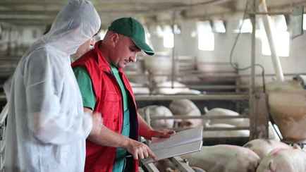 «Белоруснефть» позвала на работу ветврачей и зоотехников на зарплату в 2500 BYN