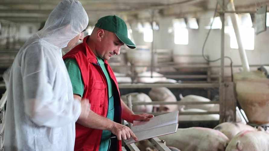 Фото иллюстрационное