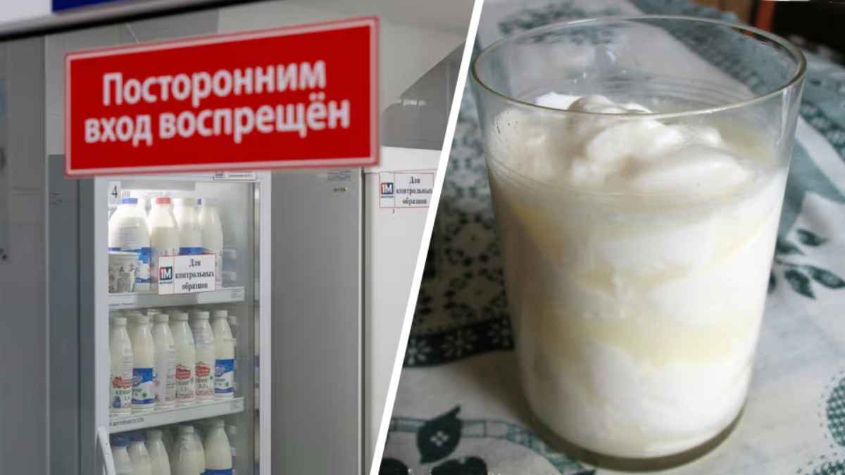 Почему из магазинного молока не получится простокваша? Эксперты объяснили «эффект ПВА»
