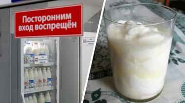 Почему из магазинного молока не получится простокваша? Эксперты объяснили «эффект ПВА»