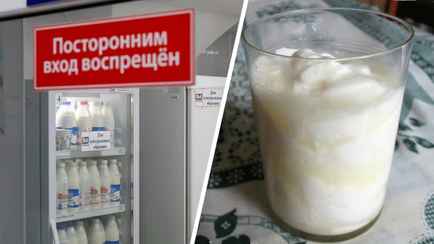 Почему из магазинного молока не получится простокваша? Эксперты объяснили «эффект ПВА»