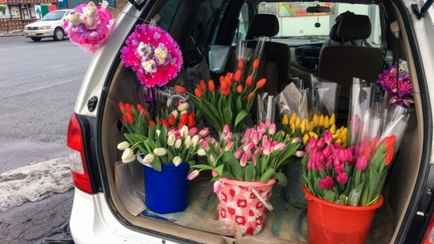 МНС предупредило о запрете продавать цветы без справки. Кому нужны «отношения близкого родства»