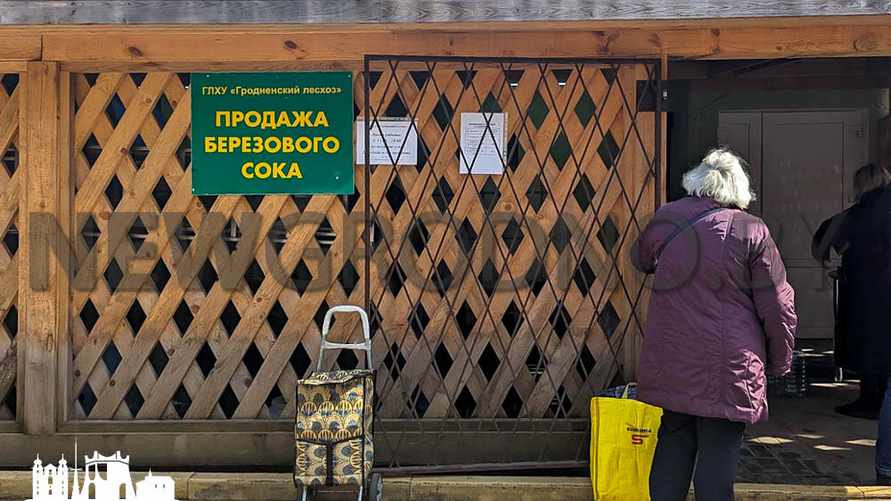 Где в Беларуси самый дешевый березовый сок. Цены в разных областях отличаются в 2 раза