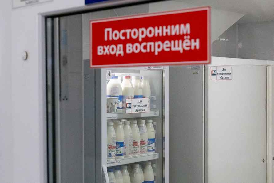 Фото: Telegraf.news / Алексей Смоленский