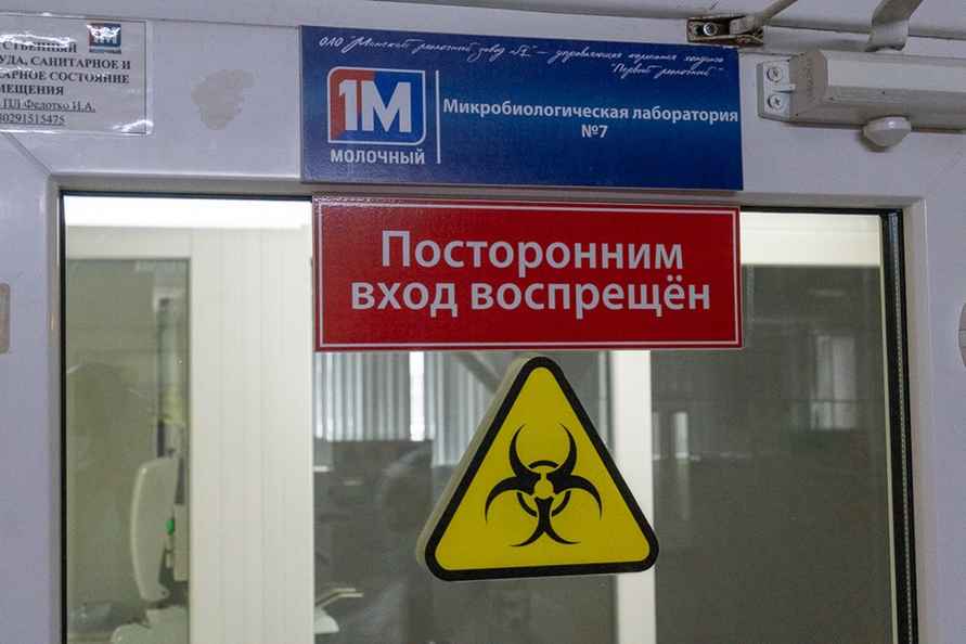 Фото: Telegraf.news / Алексей Смоленский