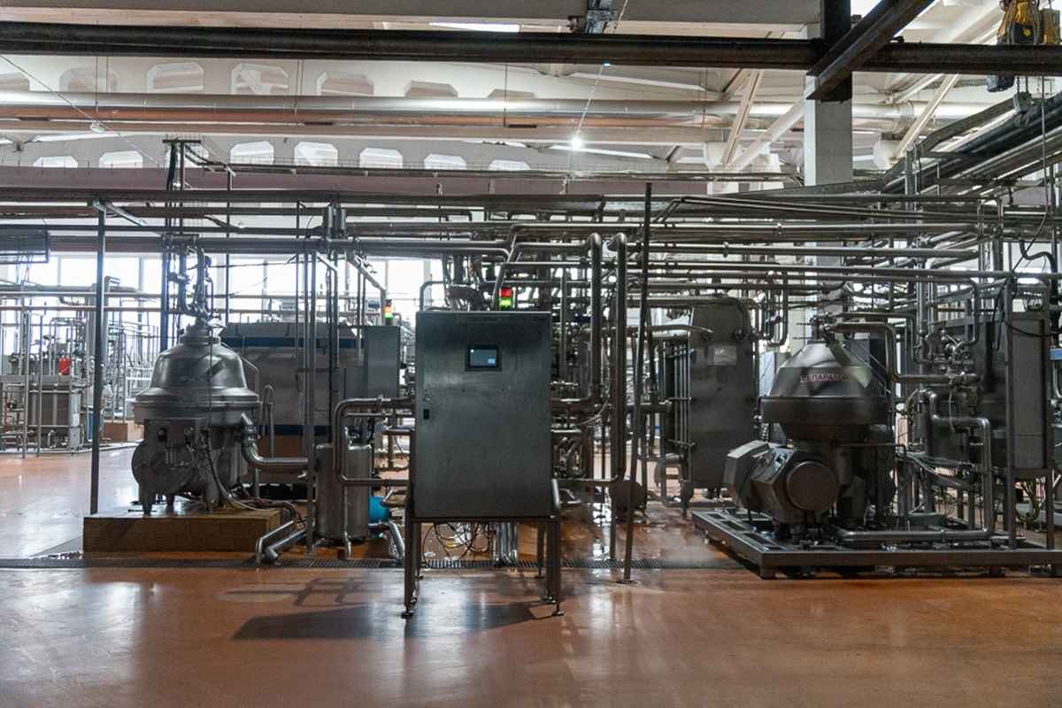 Фото: Telegraf.news / Алексей Смоленский