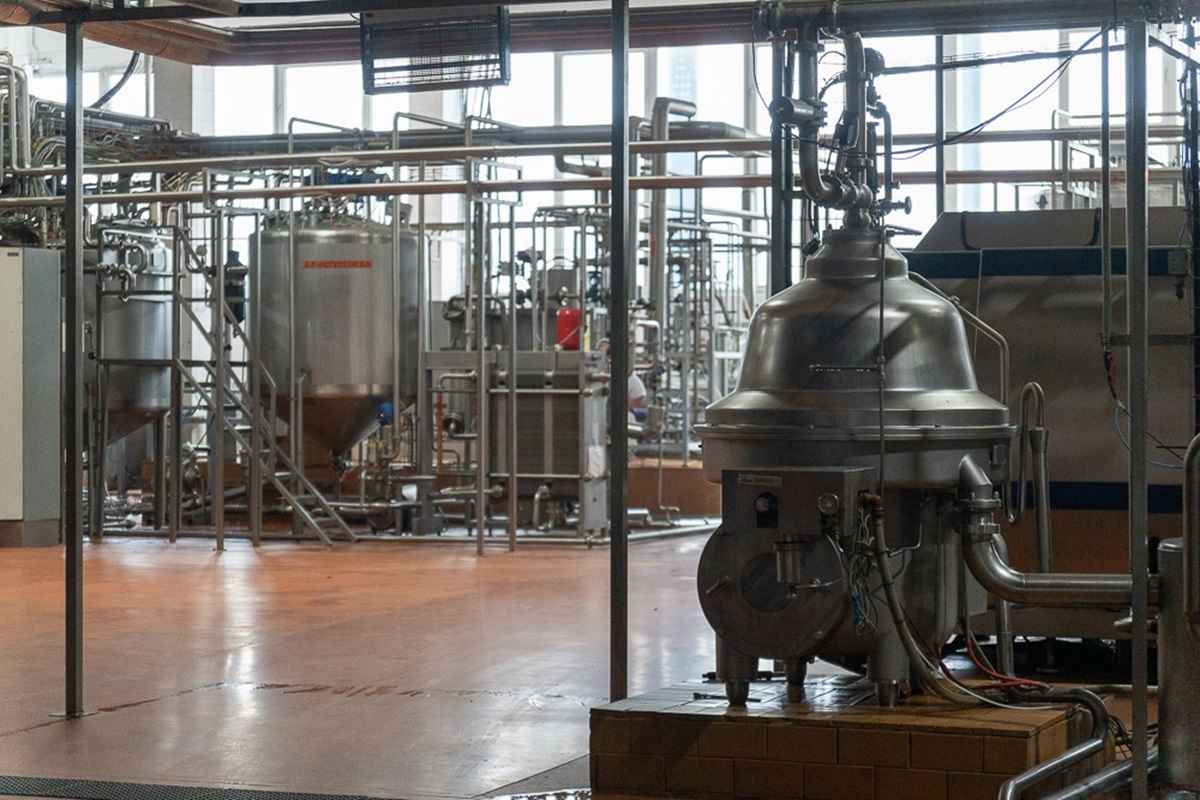 Ультрапастеризация «убивает» всю пользу молока? На ММЗ1 назвали процент правды в этом мифе