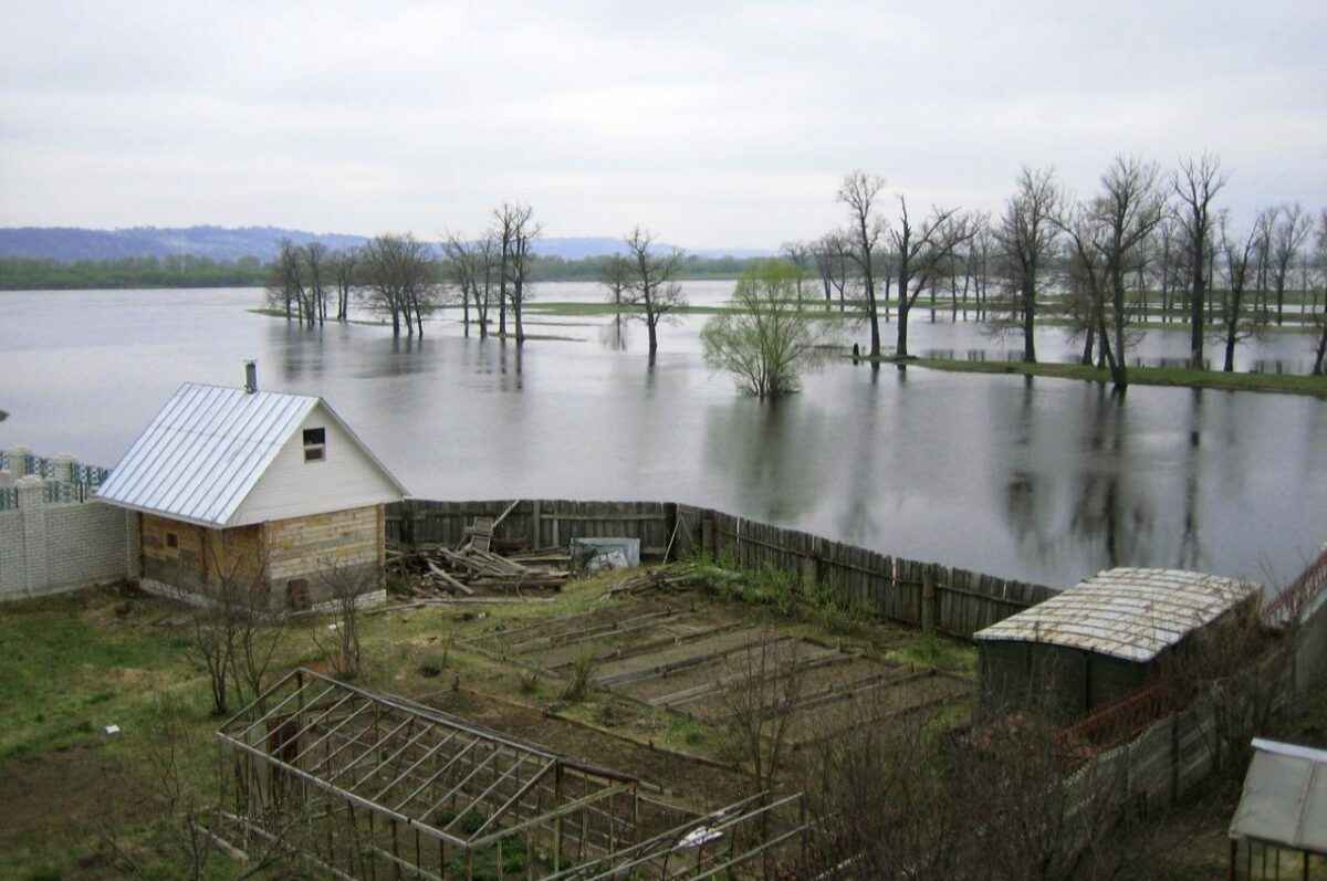 Эпидемиологи предупредили белорусов о нашествии переносчиков инфекций из-за наводнений