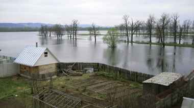 Эпидемиологи предупредили белорусов о нашествии переносчиков инфекций из-за наводнений