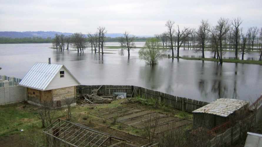 Эпидемиологи предупредили белорусов о нашествии переносчиков инфекций из-за наводнений
