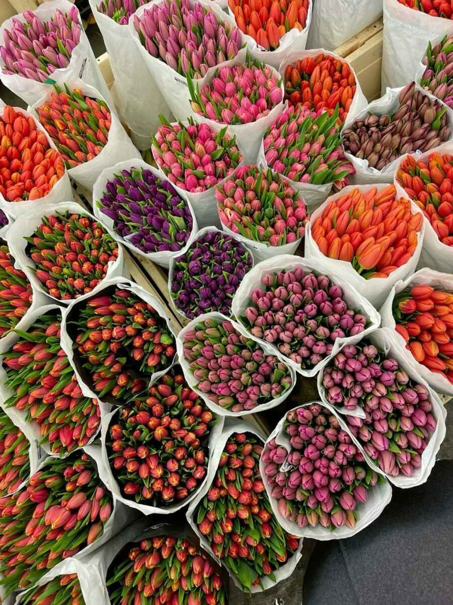 Как сохранить букет тюльпанов до 10 дней. Только работающие способы