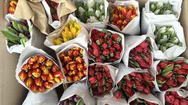 Как сохранить букет тюльпанов до 10 дней. Только работающие способы