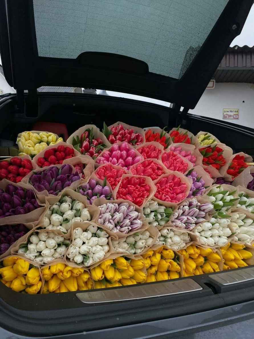 Белорусы поспорили куда идут непроданные тюльпаны и почему стоят не по рублю «Ни разу ничего не выбрасывали»