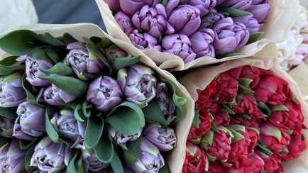 Белорусы поспорили куда идут непроданные тюльпаны и почему стоят не по рублю: «Ни разу ничего не выбрасывали»