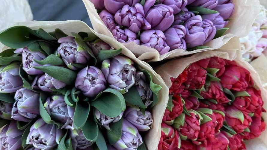 Белорусы поспорили куда идут непроданные тюльпаны и почему стоят не по рублю: «Ни разу ничего не выбрасывали»