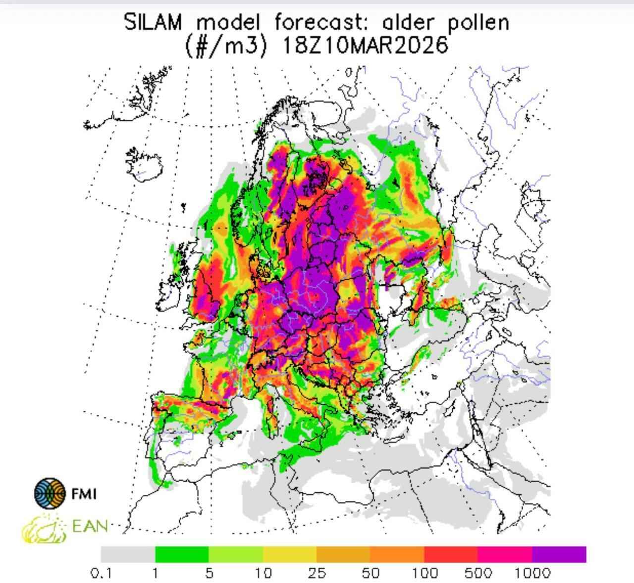 Аллергикам приготовиться. В двух областях Беларуси выросла концентрация пыльцы