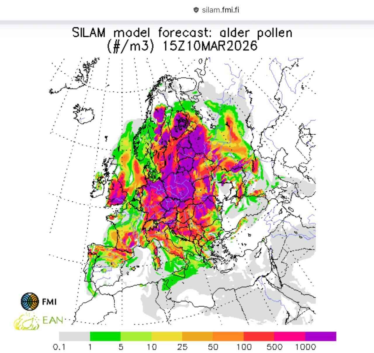 Аллергикам приготовиться. В двух областях Беларуси выросла концентрация пыльцы