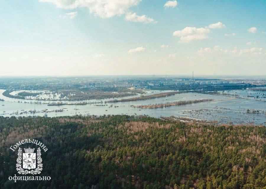 Началось. На Гомельщине зафиксировали первое подтопление и разлив реки