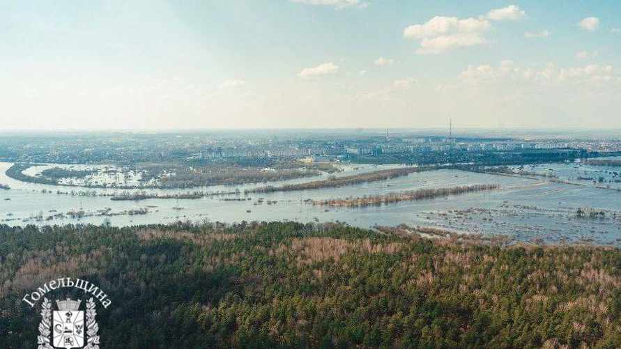 Началось. На Гомельщине зафиксировали первое подтопление и разлив реки