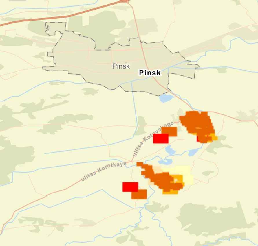 На юге Беларуси начались масштабные пожары