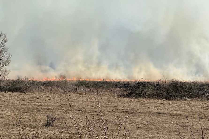 На юге Беларуси начались масштабные пожары