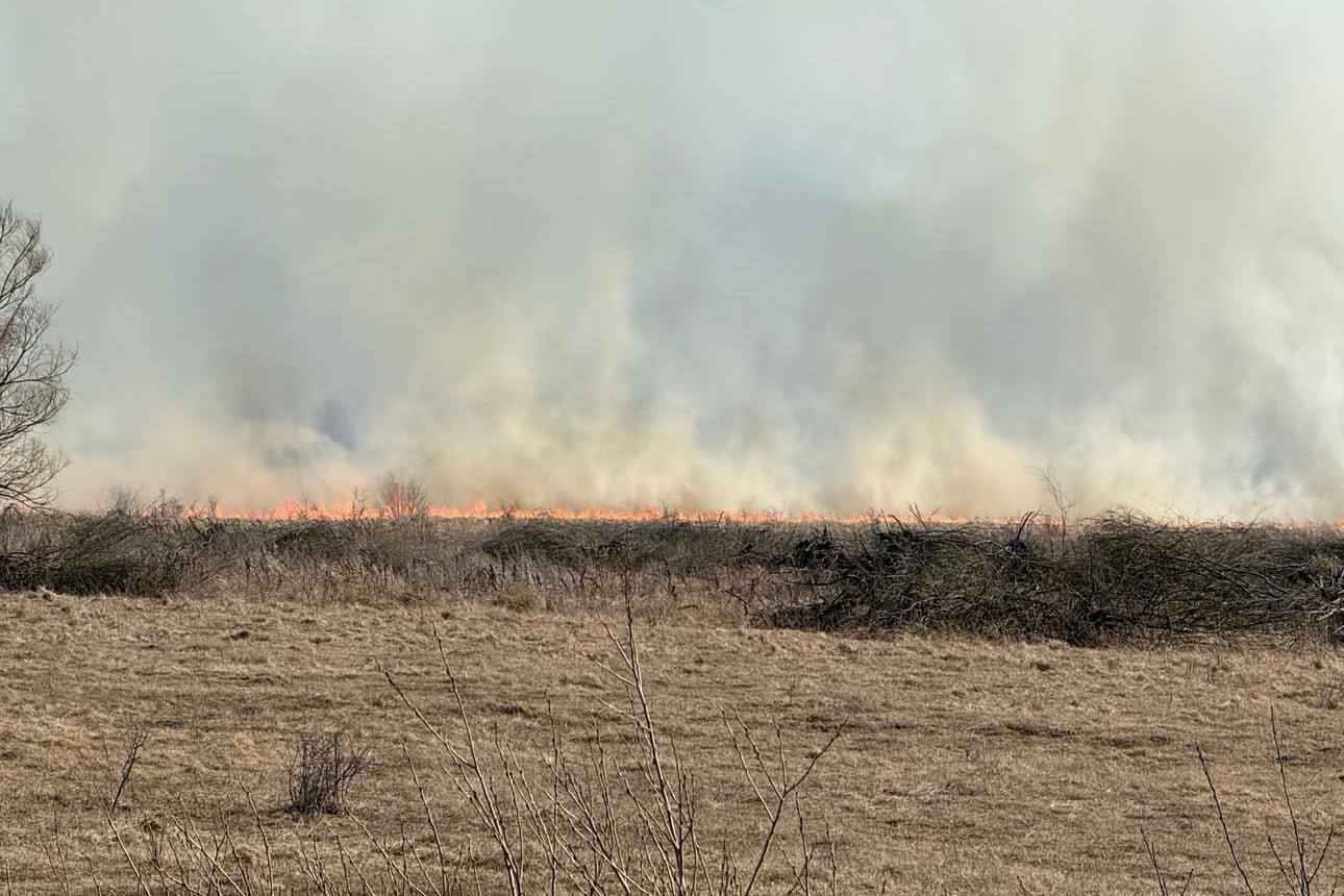 На юге Беларуси начались масштабные пожары