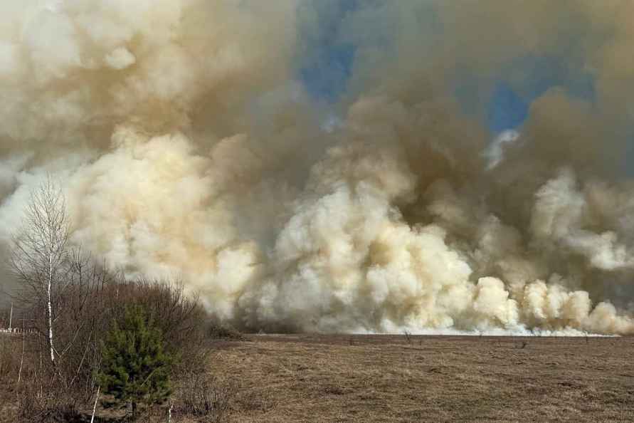 На юге Беларуси начались масштабные пожары