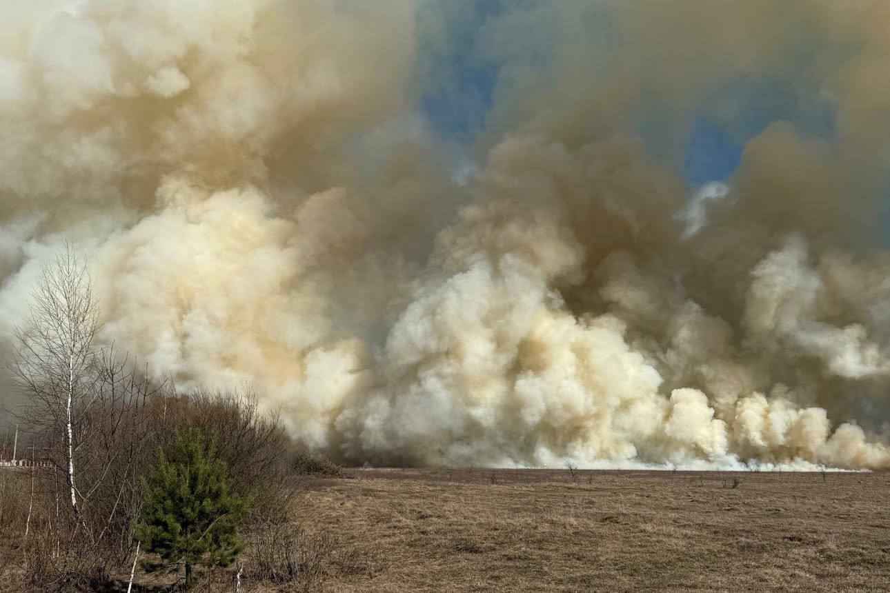 На юге Беларуси начались масштабные пожары