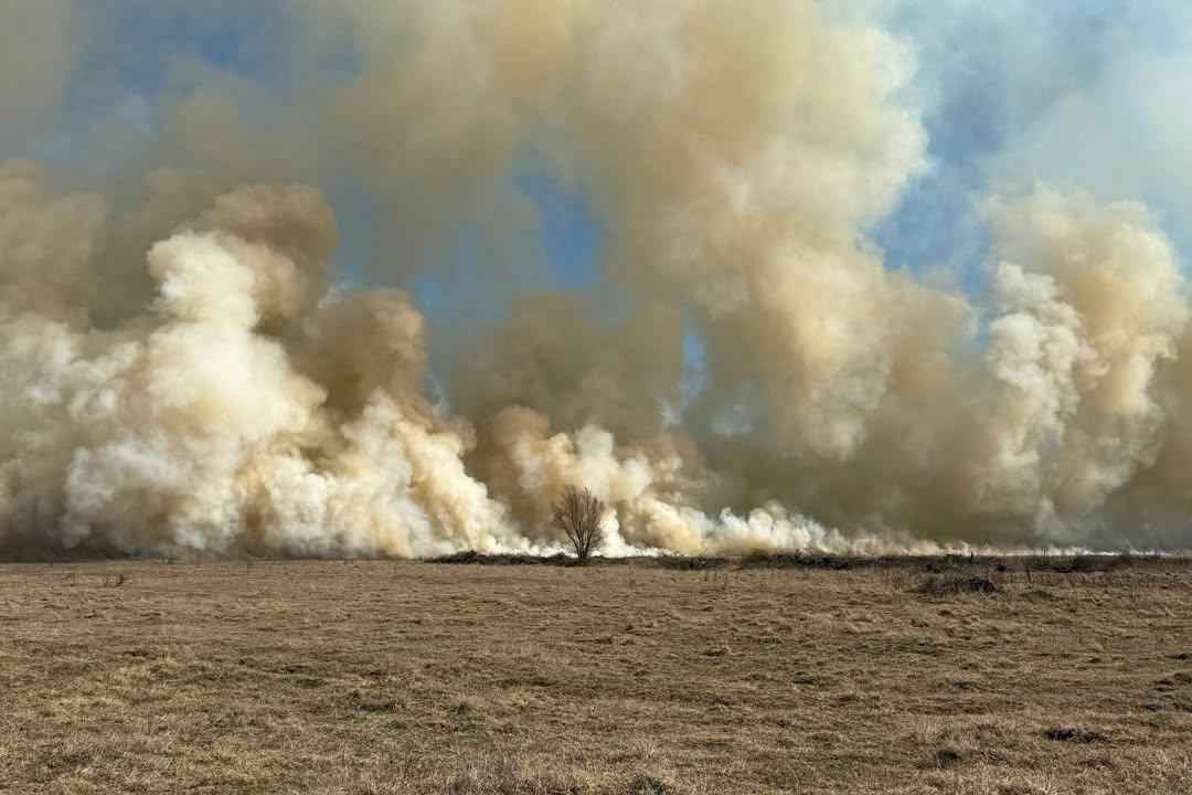 На юге Беларуси начались масштабные пожары